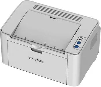 Замена принтера Pantum P2200 в Новосибирске
